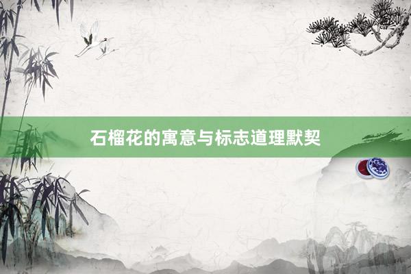 石榴花的寓意与标志道理默契
