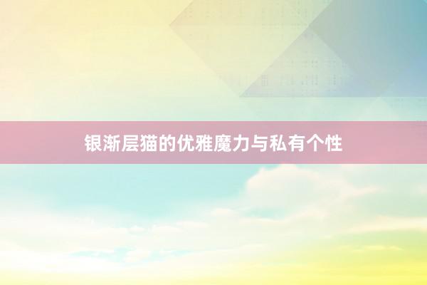 银渐层猫的优雅魔力与私有个性