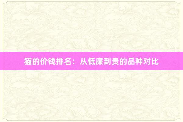 猫的价钱排名：从低廉到贵的品种对比